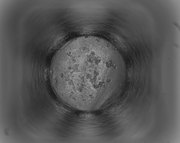 X0000091530503200709071044