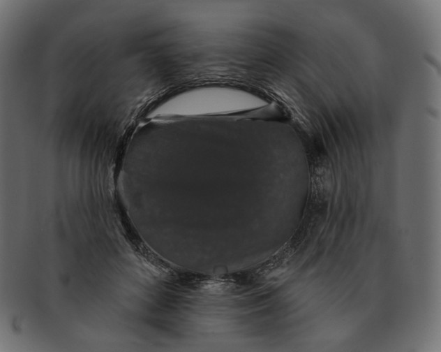 X0000091530504200709071044