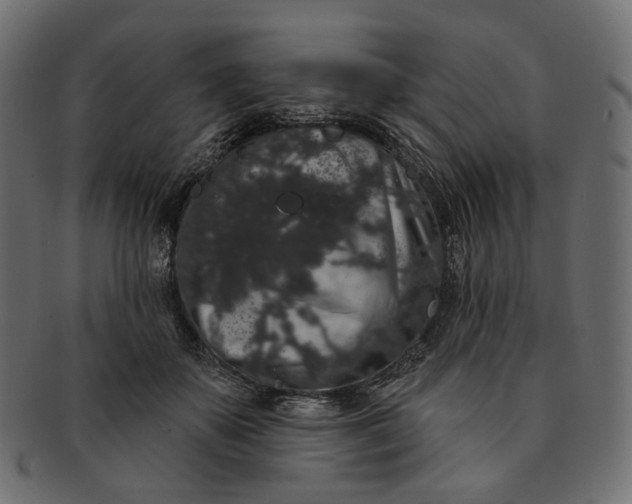 X0000091530507200709071044