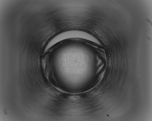 X0000091530508200709071044