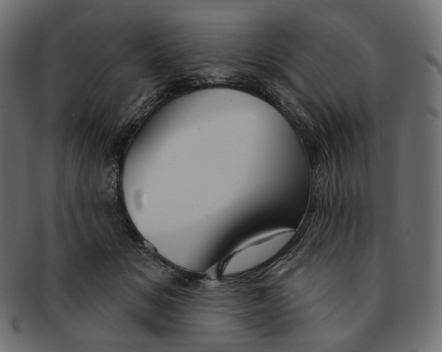 X0000091530509200709071044