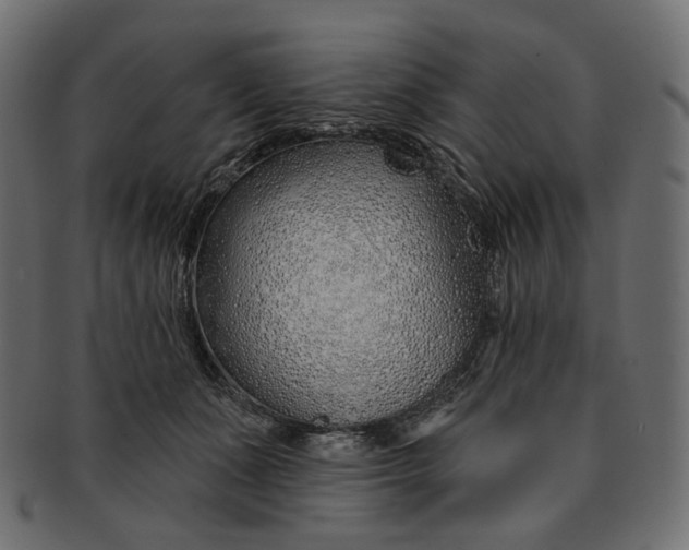 X0000091530511200709071044