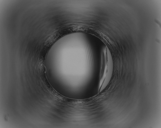 X0000091530513200709071044