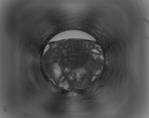 X0000091530519200709071043