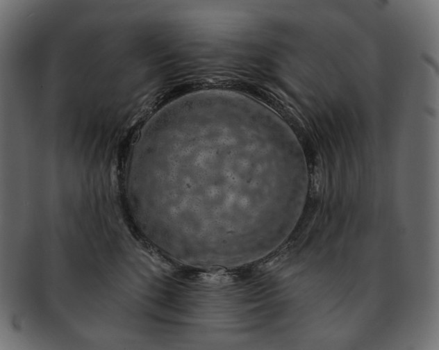 X0000091530520200709071043
