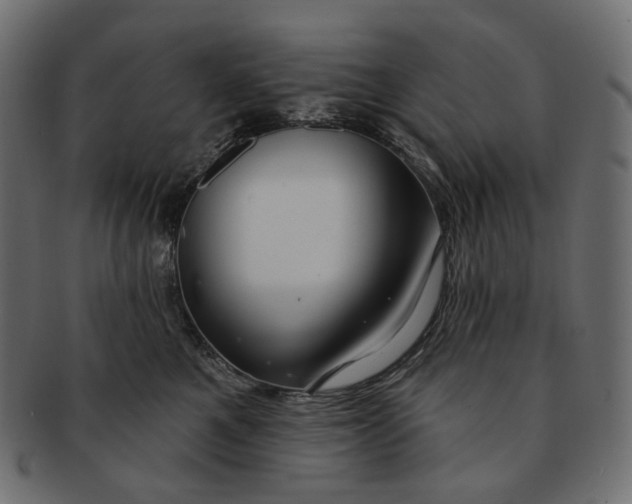 X0000091530521200709071043