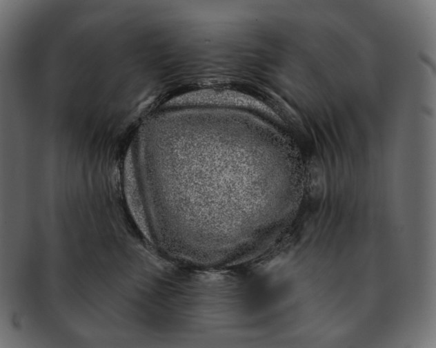 X0000091530523200709071043