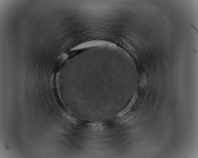 X0000091530524200709071043