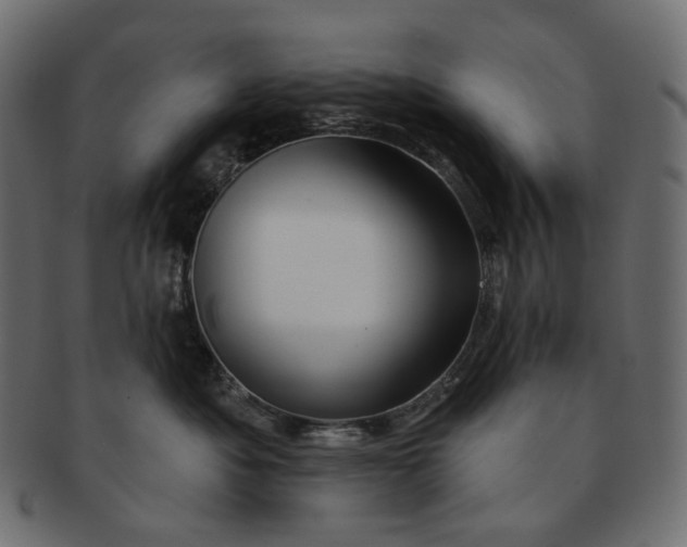 X0000091530525200709071043