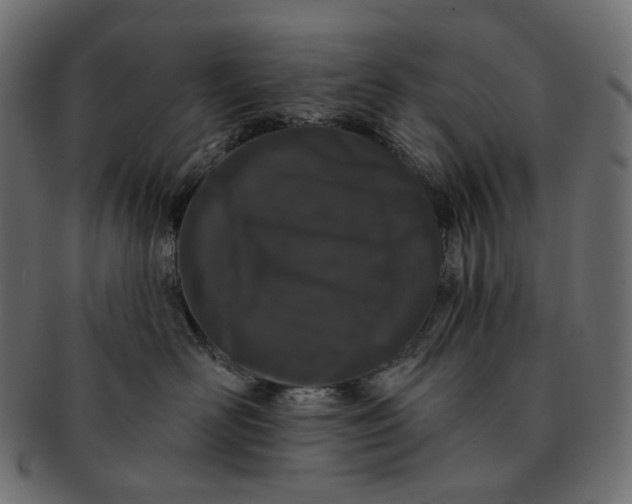 X0000091530526200709071043