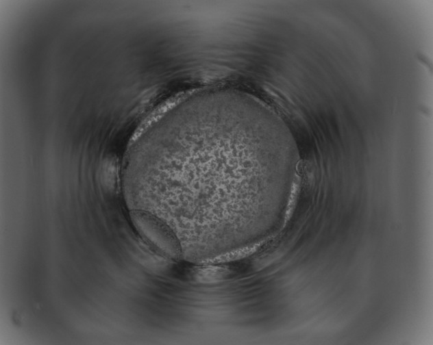 X0000091530527200709071043