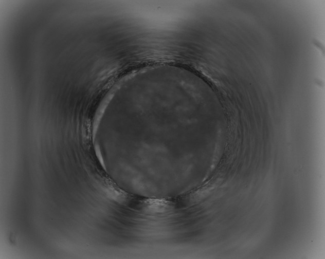 X0000091530528200709071043