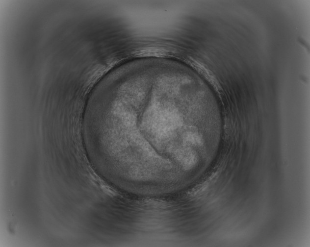 X0000091530529200709071042