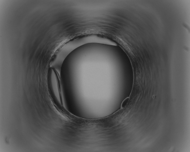 X0000091530530200709071042