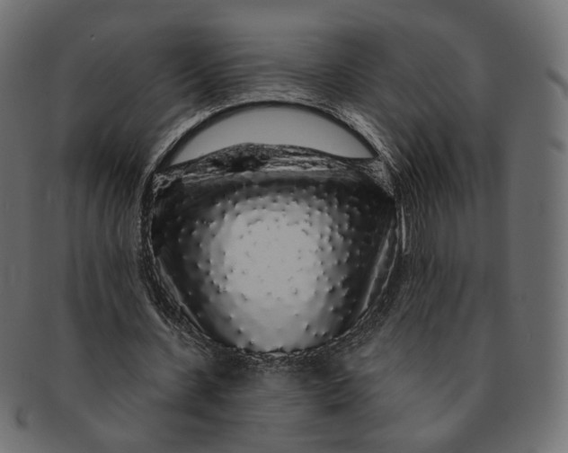 X0000091530531200709071042