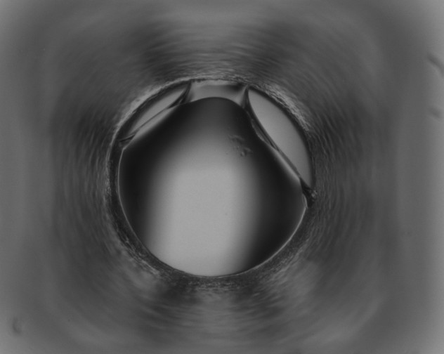 X0000091530532200709071042