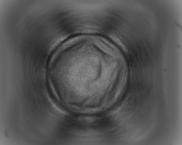 X0000091530533200709071042