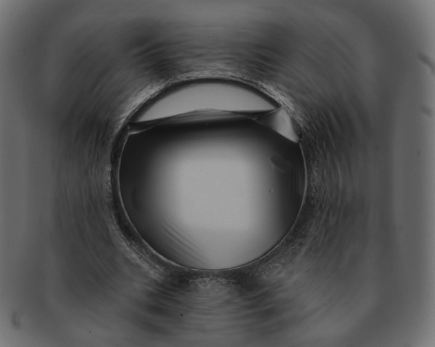 X0000091530535200709071042
