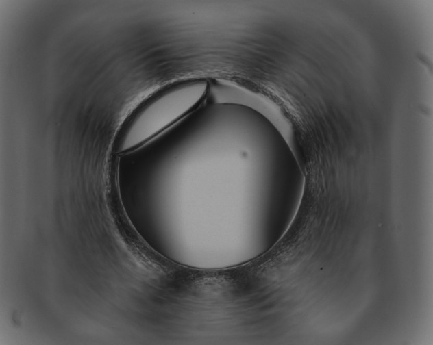 X0000091530536200709071042