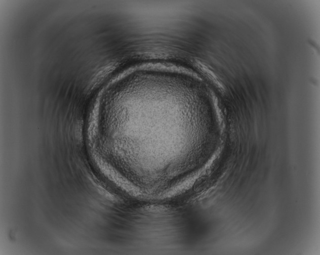 X0000091530537200709071042