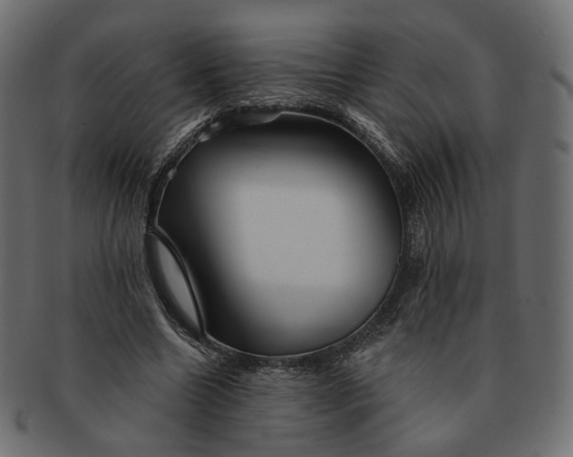X0000091530538200709071042