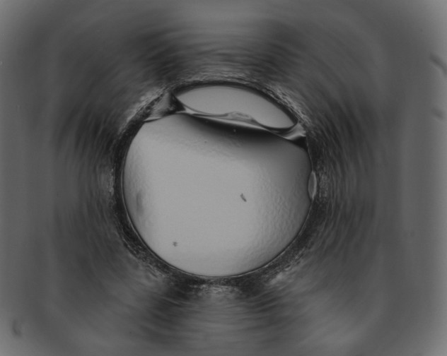 X0000091530539200709071042