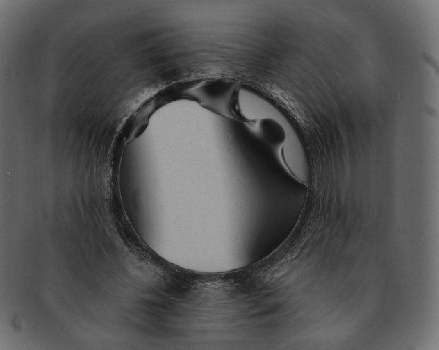 X0000091530540200709071042