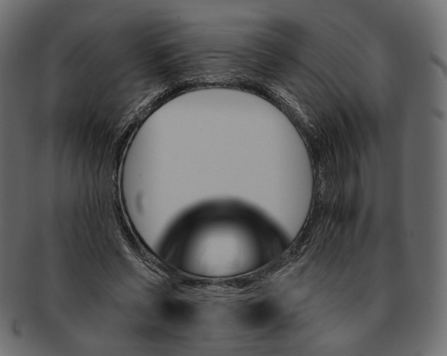 X0000091530542200709071043