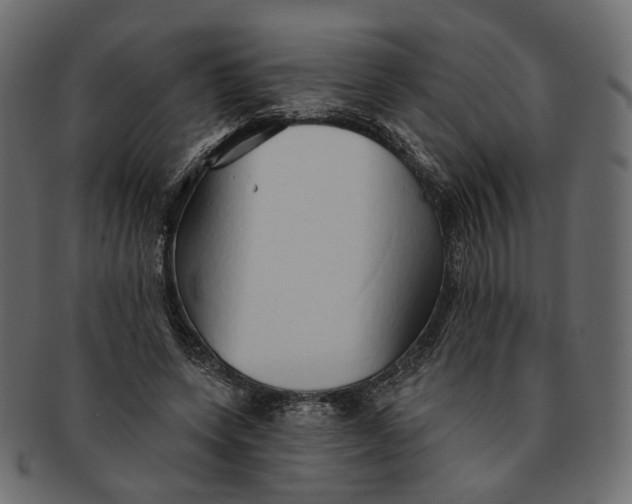 X0000091530543200709071043