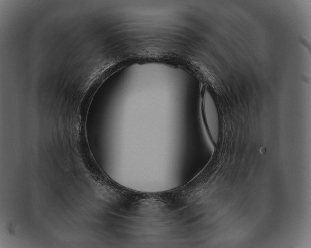 X0000091530544200709071043
