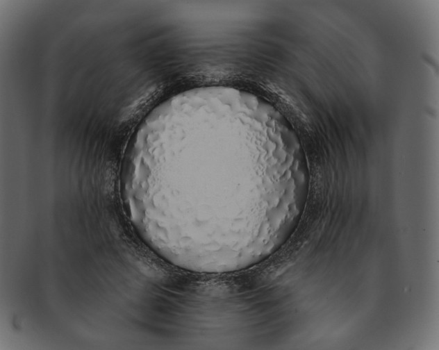 X0000091530545200709071043