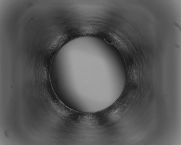 X0000091530546200709071043