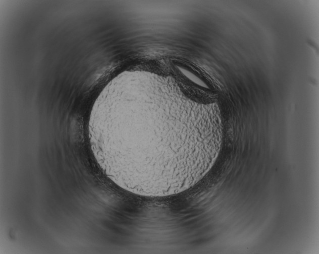 X0000091530547200709071043