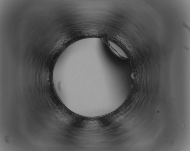 X0000091530548200709071043