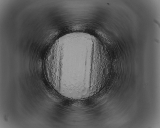 X0000091530550200709071043