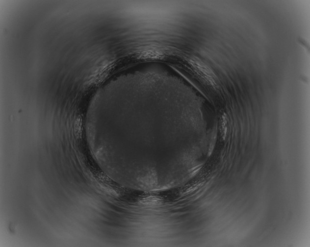 X0000091530551200709071043