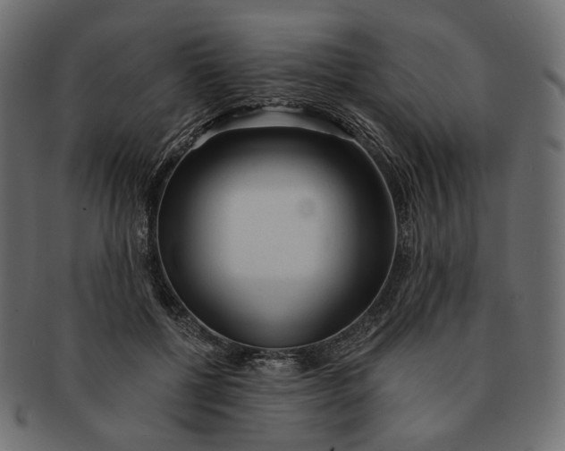 X0000091530552200709071043