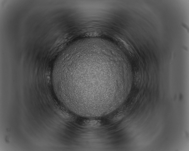 X0000091530553200709071043
