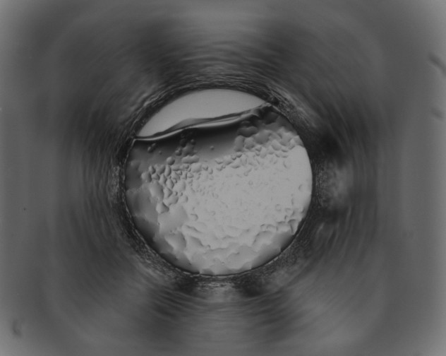 X0000091530554200709071043