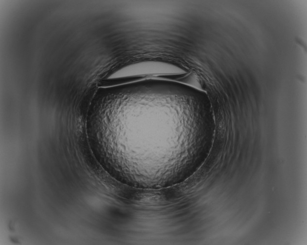 X0000091530555200709071043