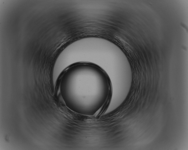 X0000091530556200709071043