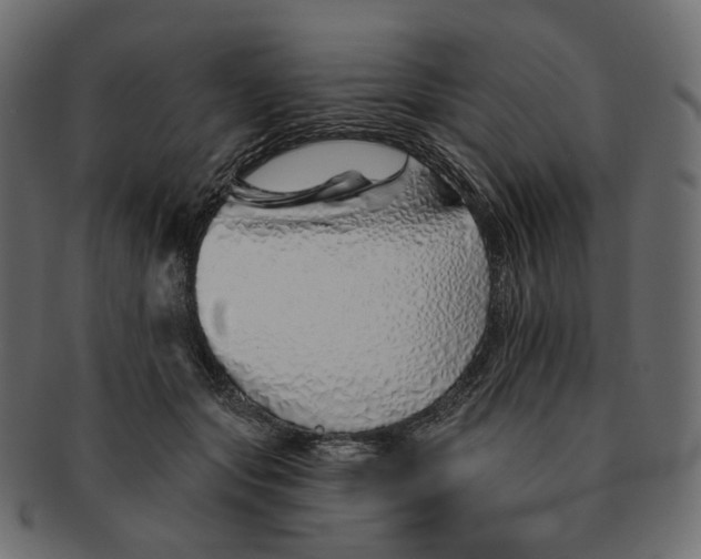 X0000091530557200709071043