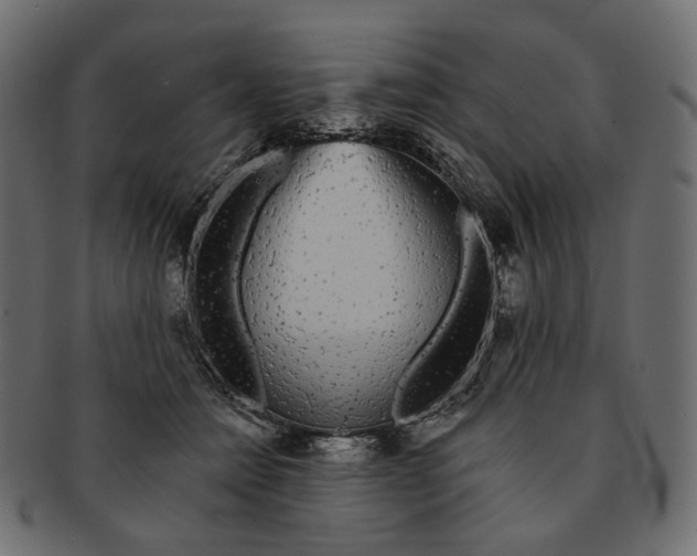 X0000091530558200709071043