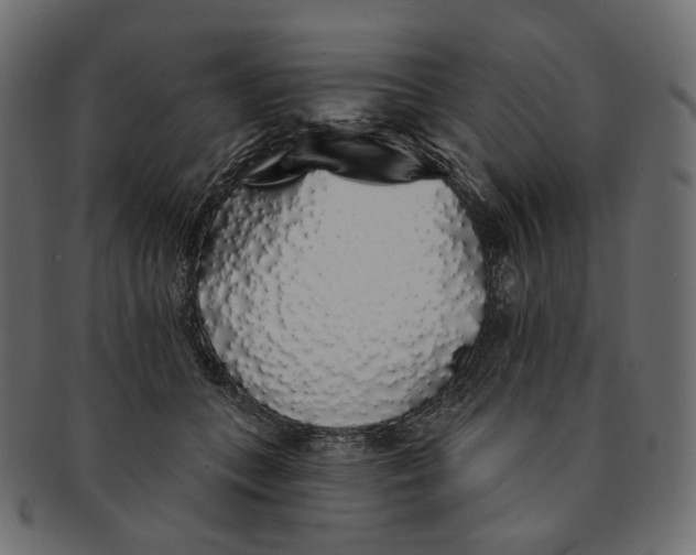 X0000091530559200709071043