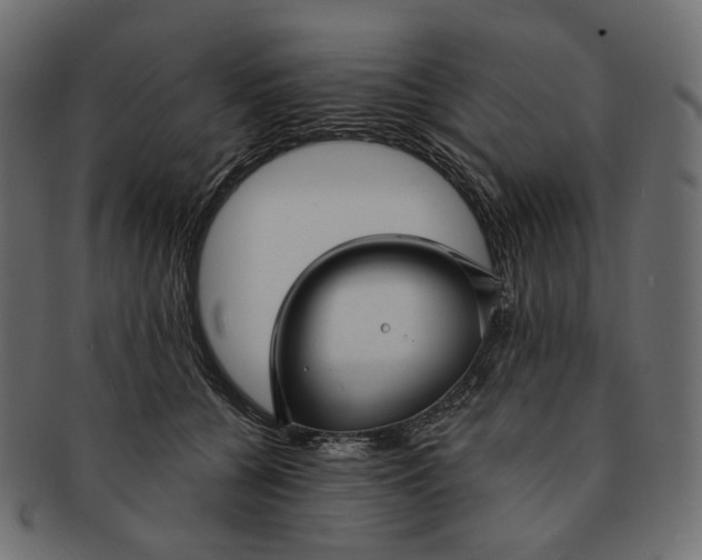 X0000091530560200709071043