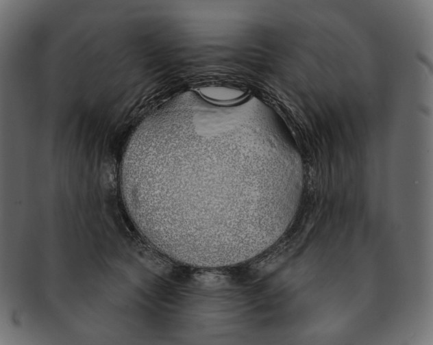 X0000091530561200709071043