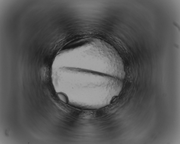 X0000091530563200709071043