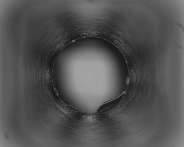 X0000091530564200709071043