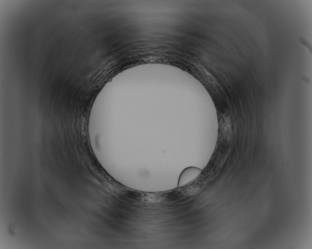 X0000091530565200709071043