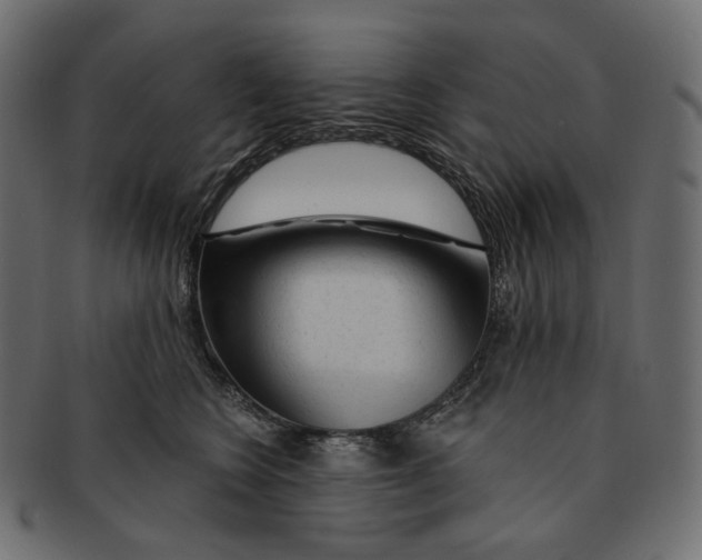 X0000091530566200709071043